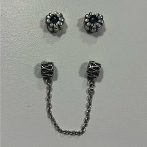 Pandora clip dividers with Safety Chain